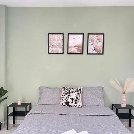 The Cozy Palm Apartamento *