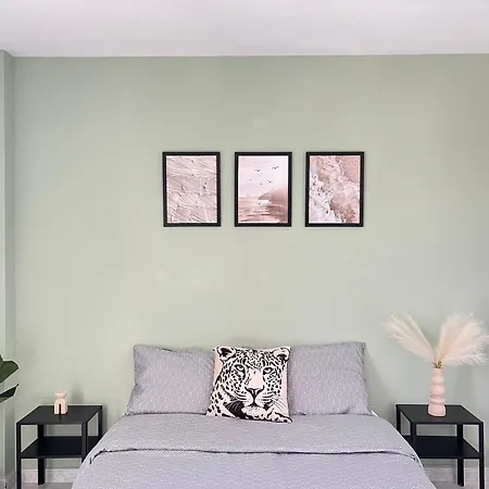 The Cozy Palm Apartamento *