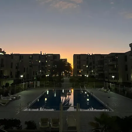 The Cozy Palm Apartamento Playa de las Americas (Tenerife)