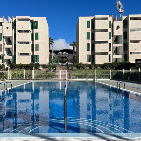 The Cozy Palm Apartment Playa de las Americas (Tenerife)